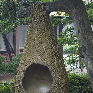 Weaver bird nest photo prop, 2024-05-22