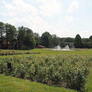 Meadow, pond with fountains and rose gardens between the bird show area and the Rosencafé, 2024-05-23