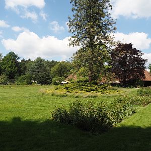 Gardens near the Rosencafé, 2024-05-23