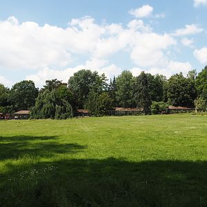 Meadow between the bird show area, the Rosencafé and the parrot aviaries, 2024-05-23