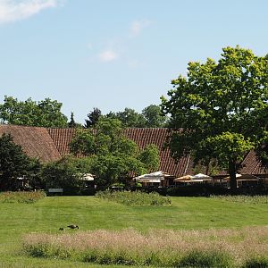 Rosencafé restaurant, 2024-05-23