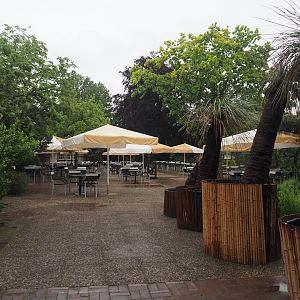 Terrace of Rosencafé restaurant, 2024-05-22