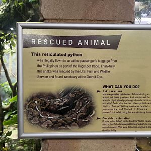 Reticulated python signage