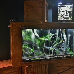 New terrariums at Reptopia