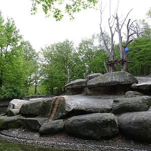 Hamadryas baboon enclosure