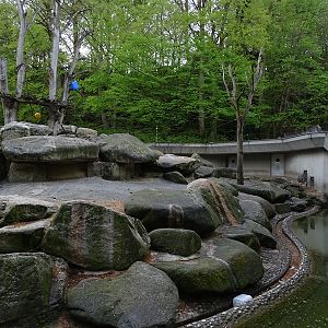 Hamadryas baboon enclosure