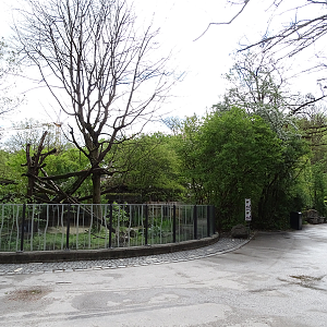 Red panda enclosure #2