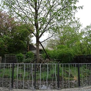 Red panda enclosure #2