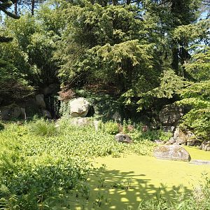 Garden area near the Paradies-Halle, 2024-05-21