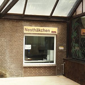 Paradies-Halle nursery, 2024-05-21