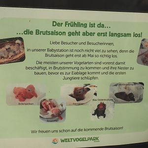 Sign about the breeding season, with photos of past breeding results, 2024-05-21