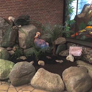 Garden area with dodo representation near entrance of the Paradies-Halle, 2024-05-22