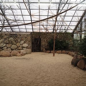 Toowoomba aviary - Rainbow lorikeet walk-through and feeding aviary, 2024-05-22