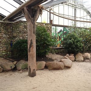 Toowoomba aviary - Rainbow lorikeet walk-through and feeding aviary, 2024-05-22