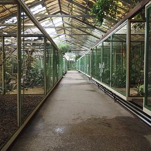 Paradies-Halle - Aviary hall, 2024-05-22