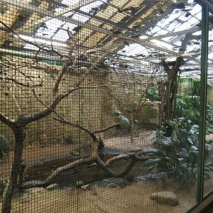 African river aviary, 2024-05-22