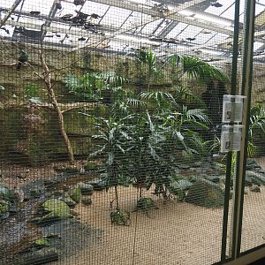 African river aviary, 2024-05-22