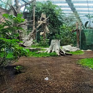 Chimpanzee Indoor Enclosure