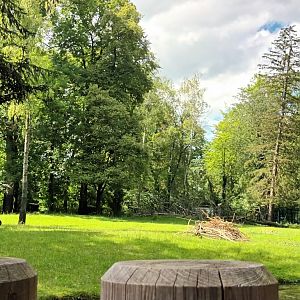 European Moose Enclosure