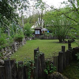 Outdoor enclosure for Aldabra giant tortoise