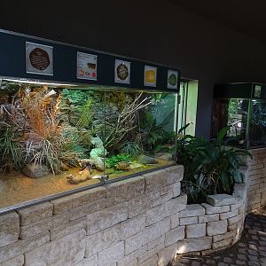 Schildkrötenhaus; terraria