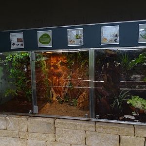 Schildkrötenhaus; terraria for various invertebrates