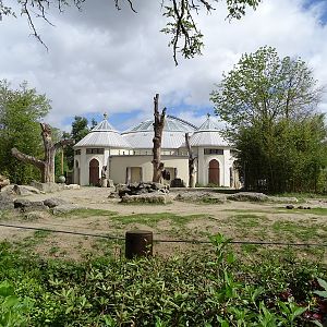 Elephant house  + outdoor enclosure
