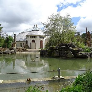 Elephant house  + outdoor enclosure