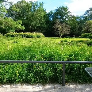 South American Pampas Enclosure