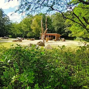 Heck Horse and Heck Cattle Enclosure