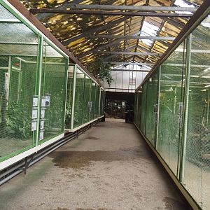 Paradies-Halle - View of aviary hall, 2024-05-22