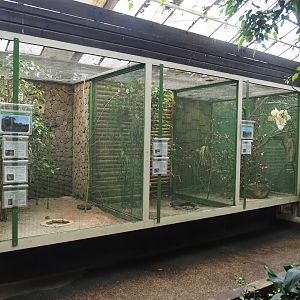 Small aviaries in the Paradies-Halle, 2024-05-22