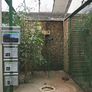 First small Australian aviary, 2024-05-22
