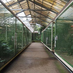 Paradies-Halle - View of aviary hall, 2024-05-23