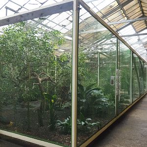 Sumatra aviary, 2024-05-22