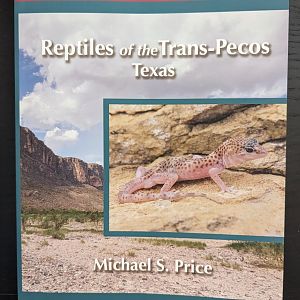 Reptiles of the Trans-Pecos Texas