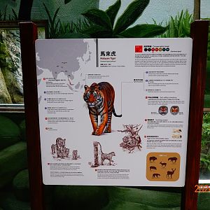 The sign of Malayan Tiger (Panthera tigris jacksoni).