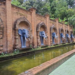 Elephant Statues Near The Entrance