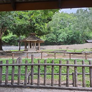 Terrace Overlooking the African Animal Enclosure