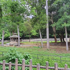 African Animal Enclosure