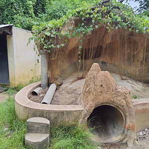 Cape Porcupine exhibit