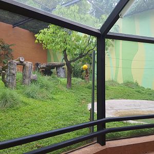 Indochinese Tiger exhibit- Cat Complex