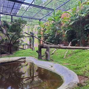 Black Panther Exhibit- Cat Complex