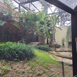 Jaguar Exhibit- Cat Complex