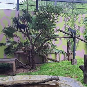 Black Panther Exhibit