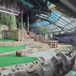 Giant Panda Complex (No Pandas during time of visit)