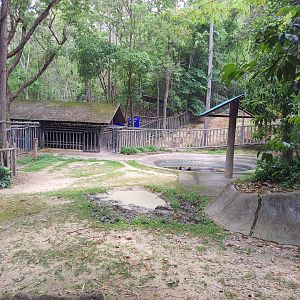 Indian Rhinoceros Enclosure
