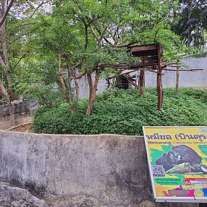 Binturong Enclosure