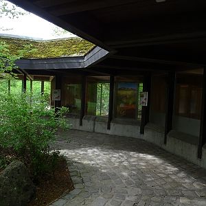 Red kangaroo indoor enclosure
