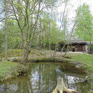 Swamp wallaby and emu enclosure